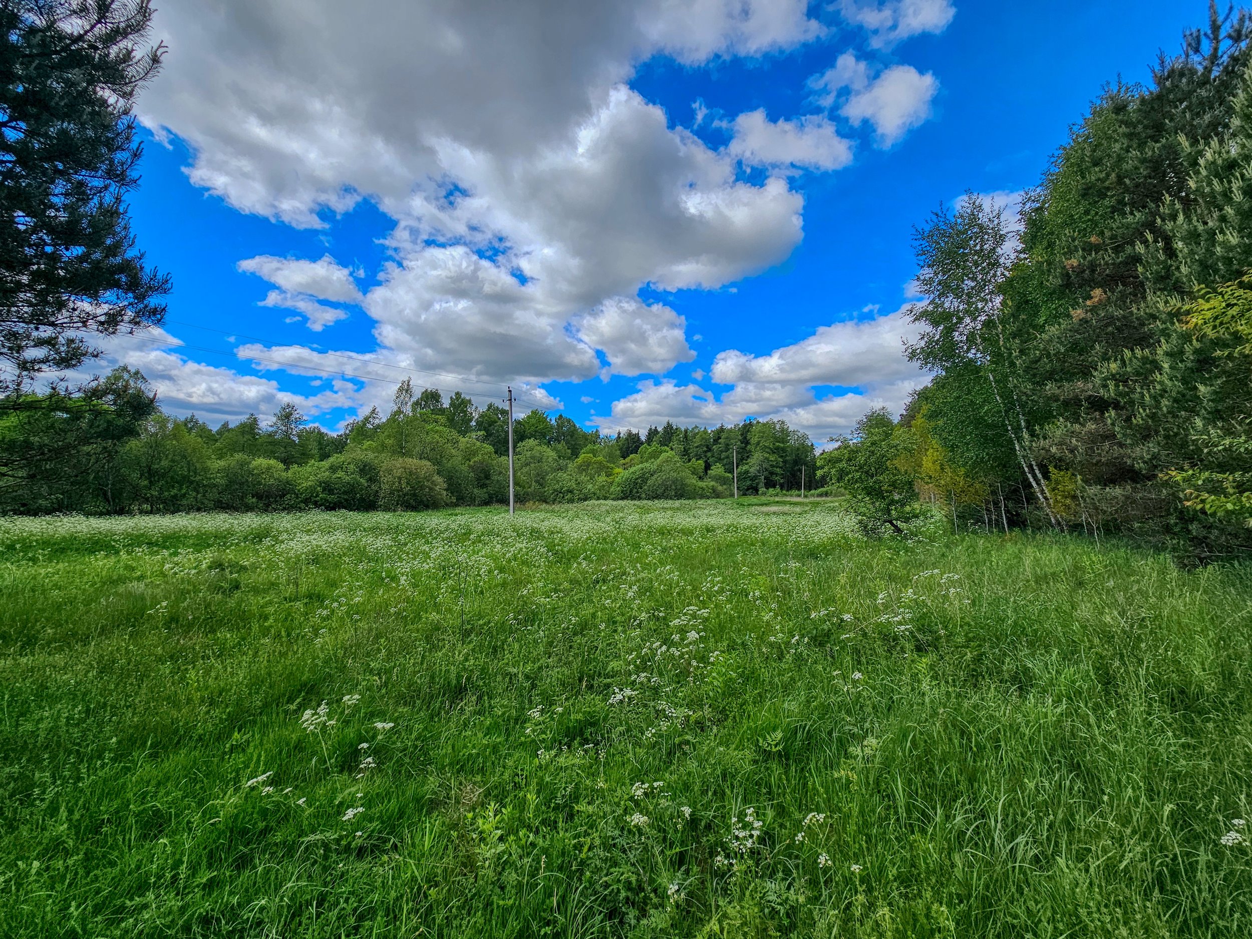 Sklypas (žemės ūkio), 160a, €4200