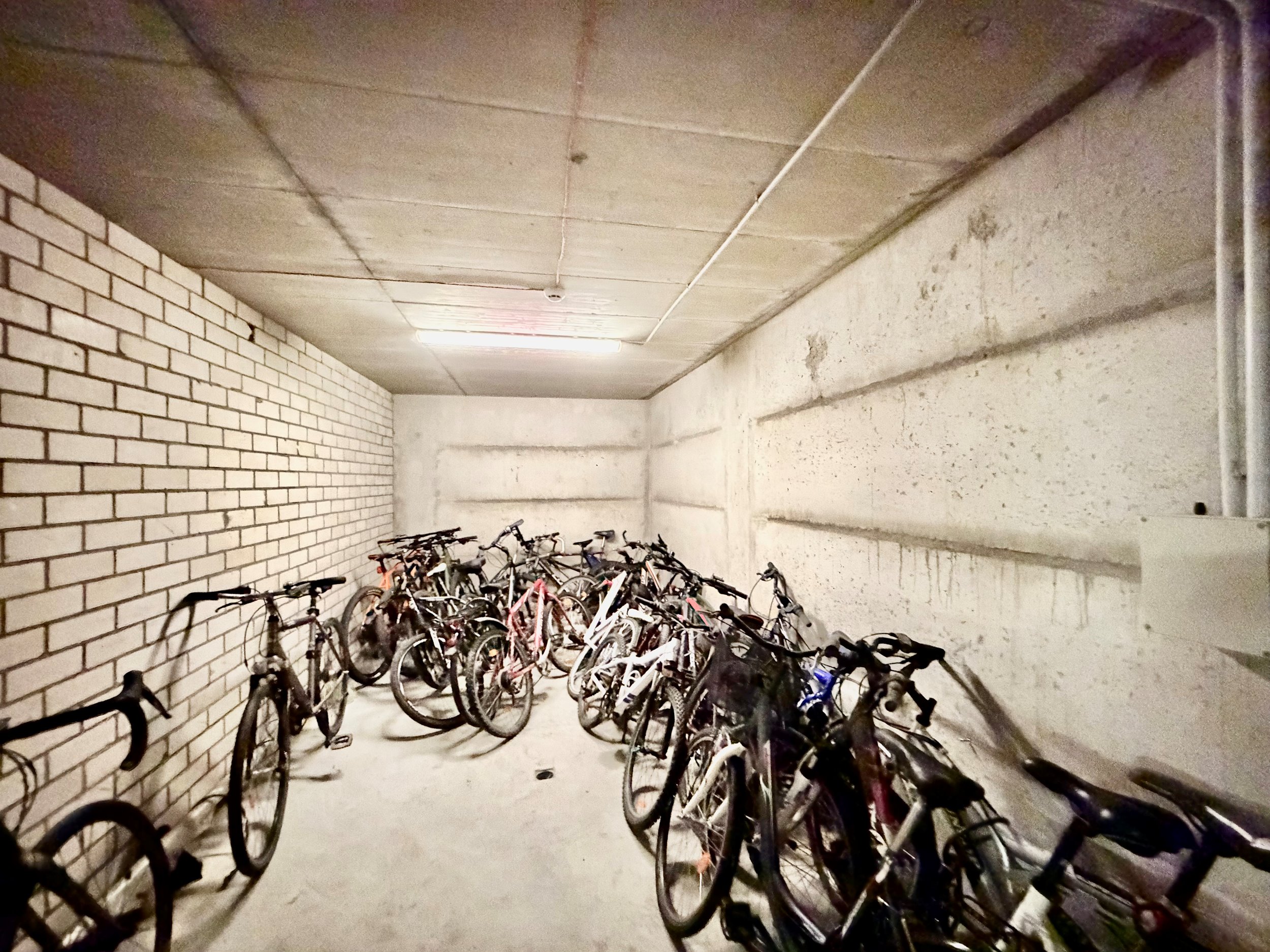 Nuomojamas 2 kambarių butas, Naujamiestis, Eglių g., 45m², 4 aukštas, €650