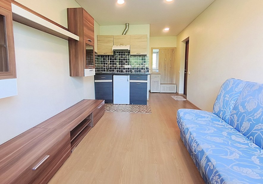 Nuomojamas 1 kambario butas, Naujamiestis, Geležinio Vilko g., 18m², 3 aukštas, €300