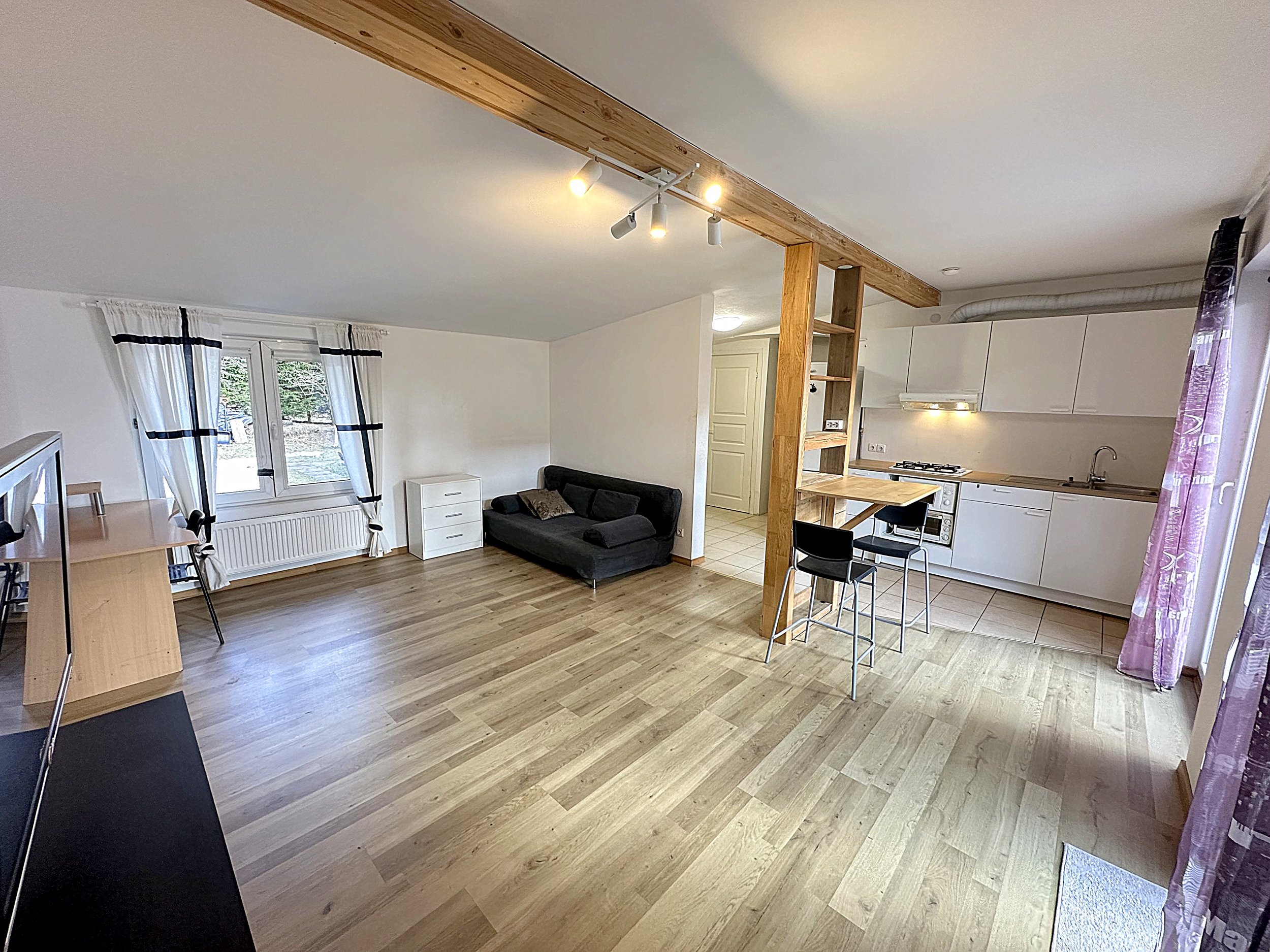 Nuomojamas 2 kambarių butas, Pavilnys, Džiaugsmo g., 45m², 1 aukštas, €480