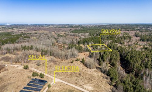 Oppa.lt