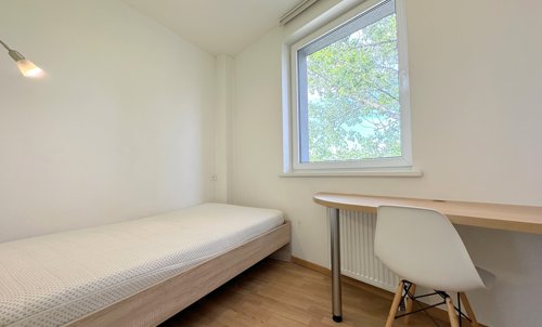 Oppa.lt