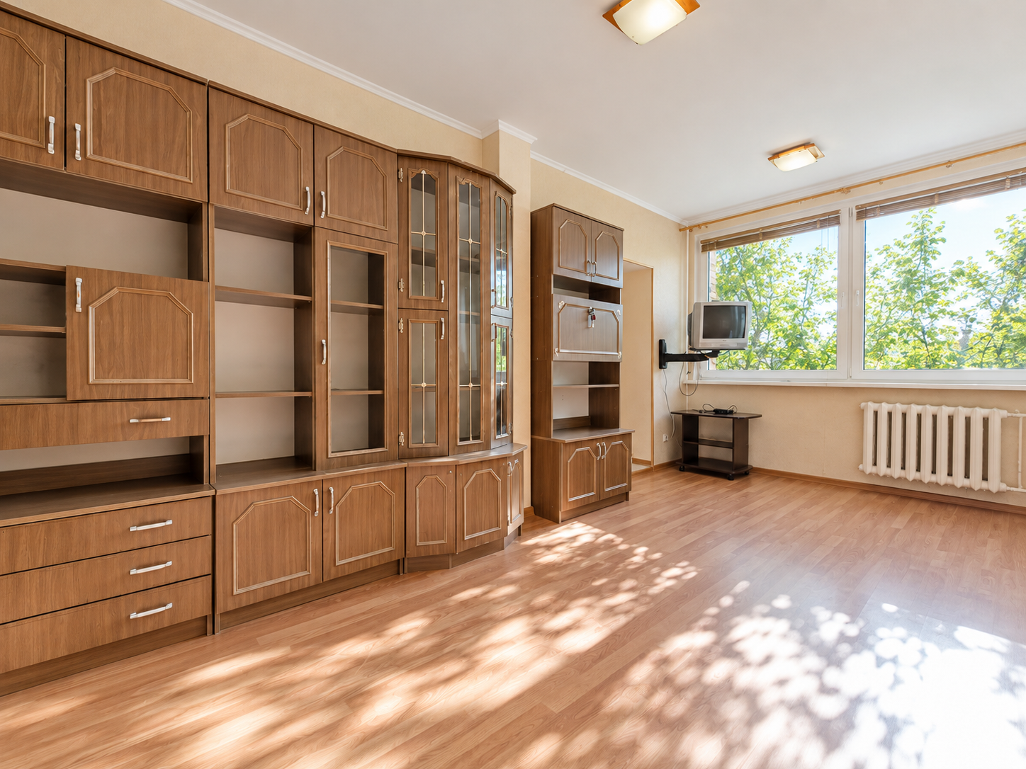 1 kambario butas, Žvėrynas, Birutės g., 24.85m², 1 aukštas, €72000