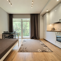 Nuomojamas 1 kambario butas, Lazdynėliai, Žaibo g., 30,00m², 3 aukštas, €500
